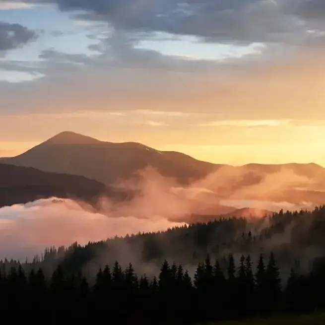 Great Smoky Mountains Camping Guide: Your Ultimate RV Adventure
