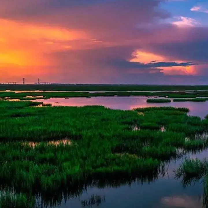 Georgia’s Coastal Wonders: Exploring the Golden Isles of Georgia