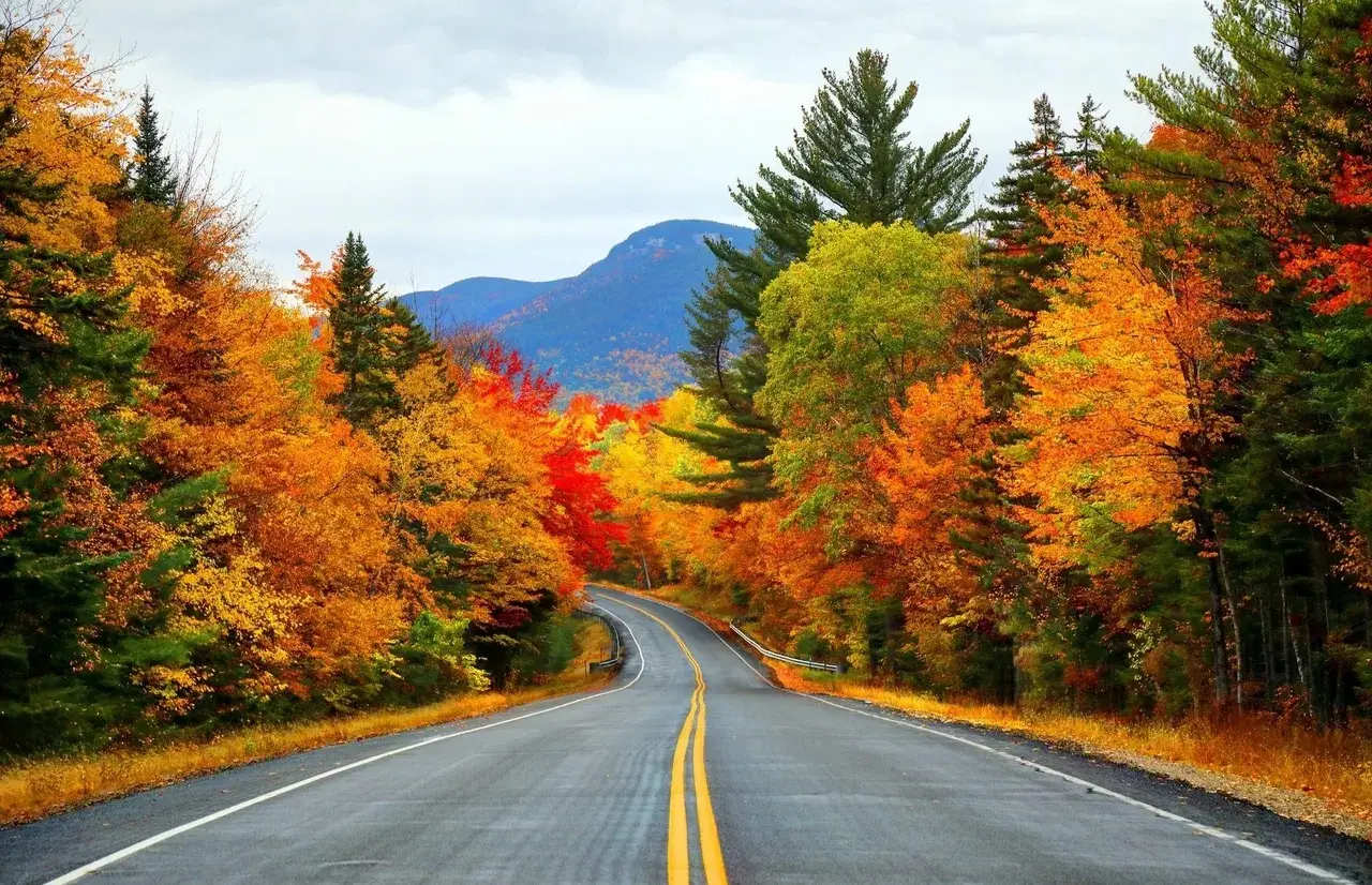 Discover the Magic of Michigan: Top Fall Activities