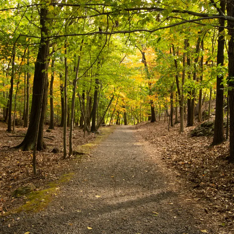 Why People Love Camping (and Why Others Never Will)