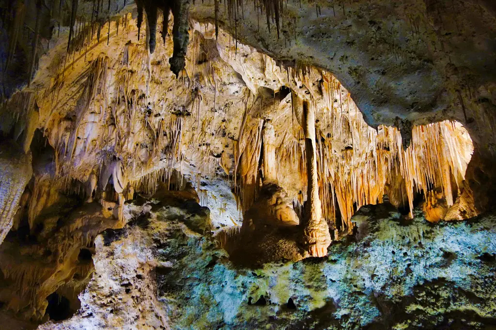 Carlsbad Caverns National Park Guide: A Journey Beneath the Desert