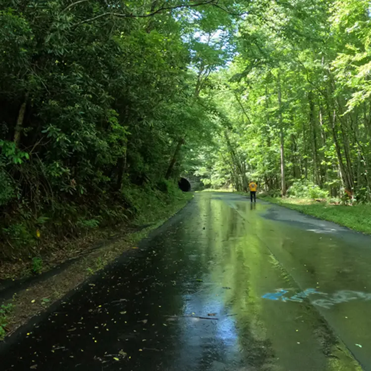 The Road to Nowhere: A Smoky Mountain Journey That Leads Somewhere Special