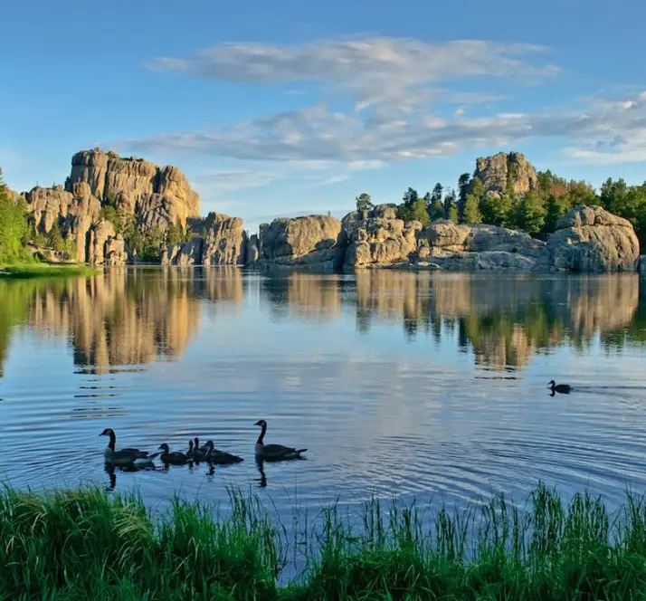 Exploring the Beauty of Custer State Park