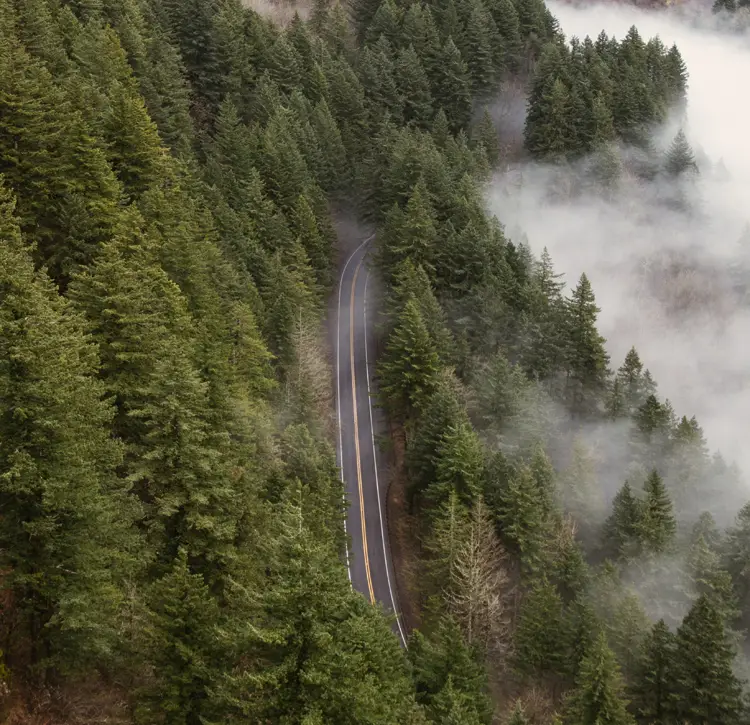 Uncover Tennessee’s Most Surprising, Fun, and Historic Secrets