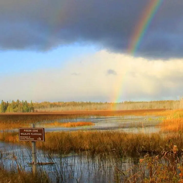 Discover Drummond Island in Michigan’s Wild and Untamed Paradise