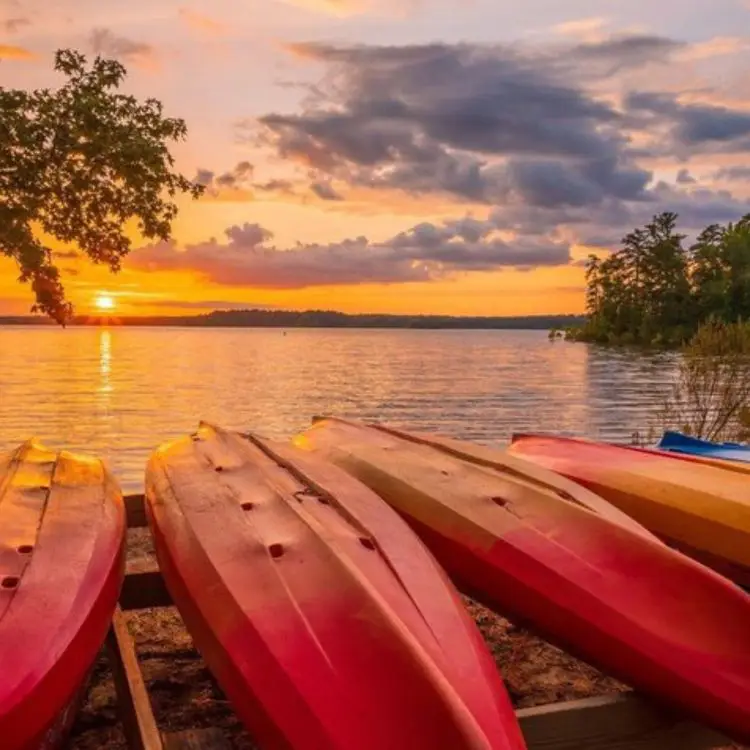 Discover the Charm of Mistletoe State Park in Appling, Georgia