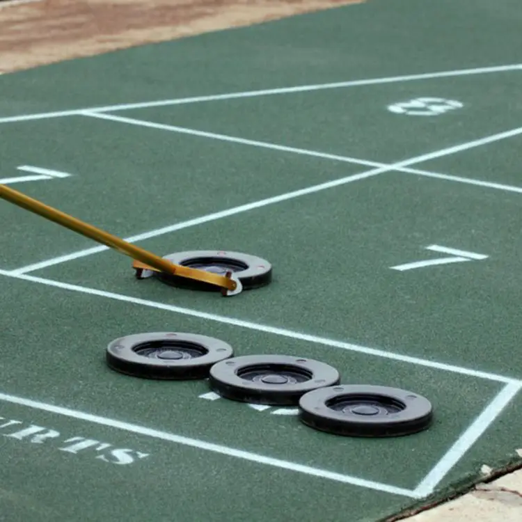 Shuffleboard Queens of the Sunshine State A Snowbird Story