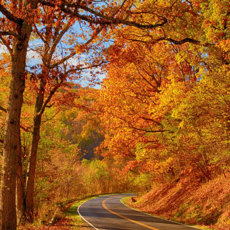 Hidden RV Fall Foliage Routes Worth Discovering This Season
