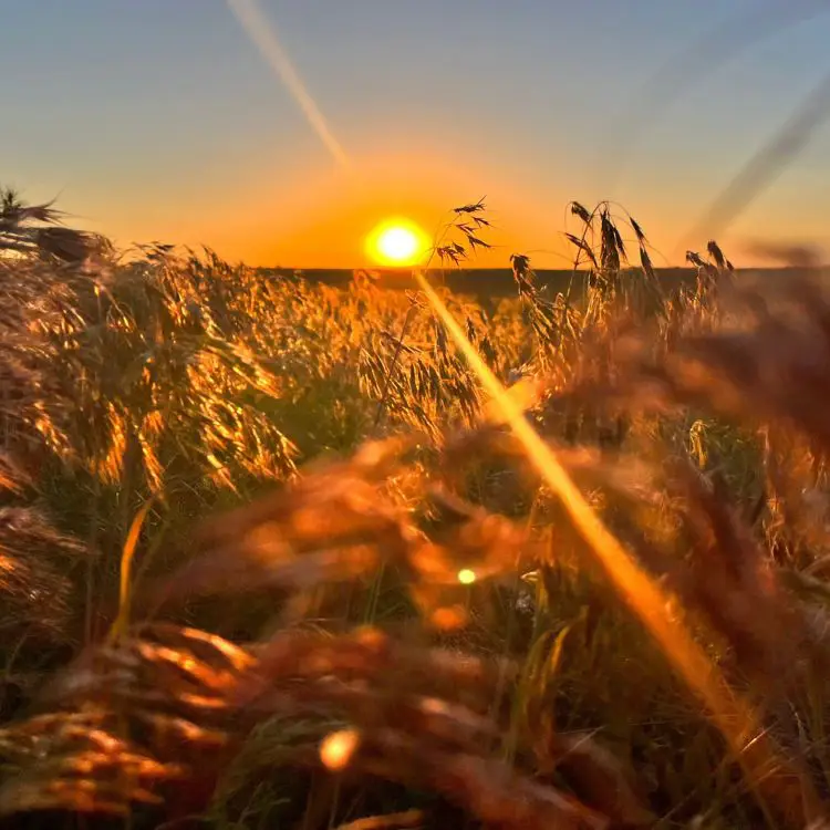 Discover the Hidden Charm of Imperial Nebraska Getaway Now