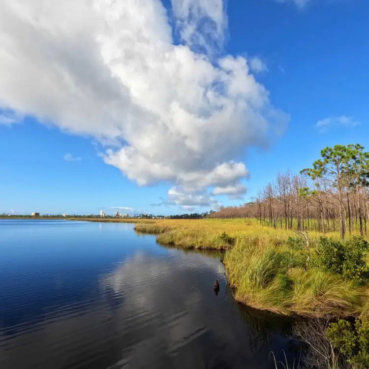 Gulf State Park Campground Beachfront Camping You’ll Never Forget
