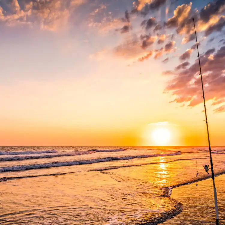 Why Ransom Road RV Park Is Aransas Pass&rsquo;s Coastal Secret&mdash;Go Now