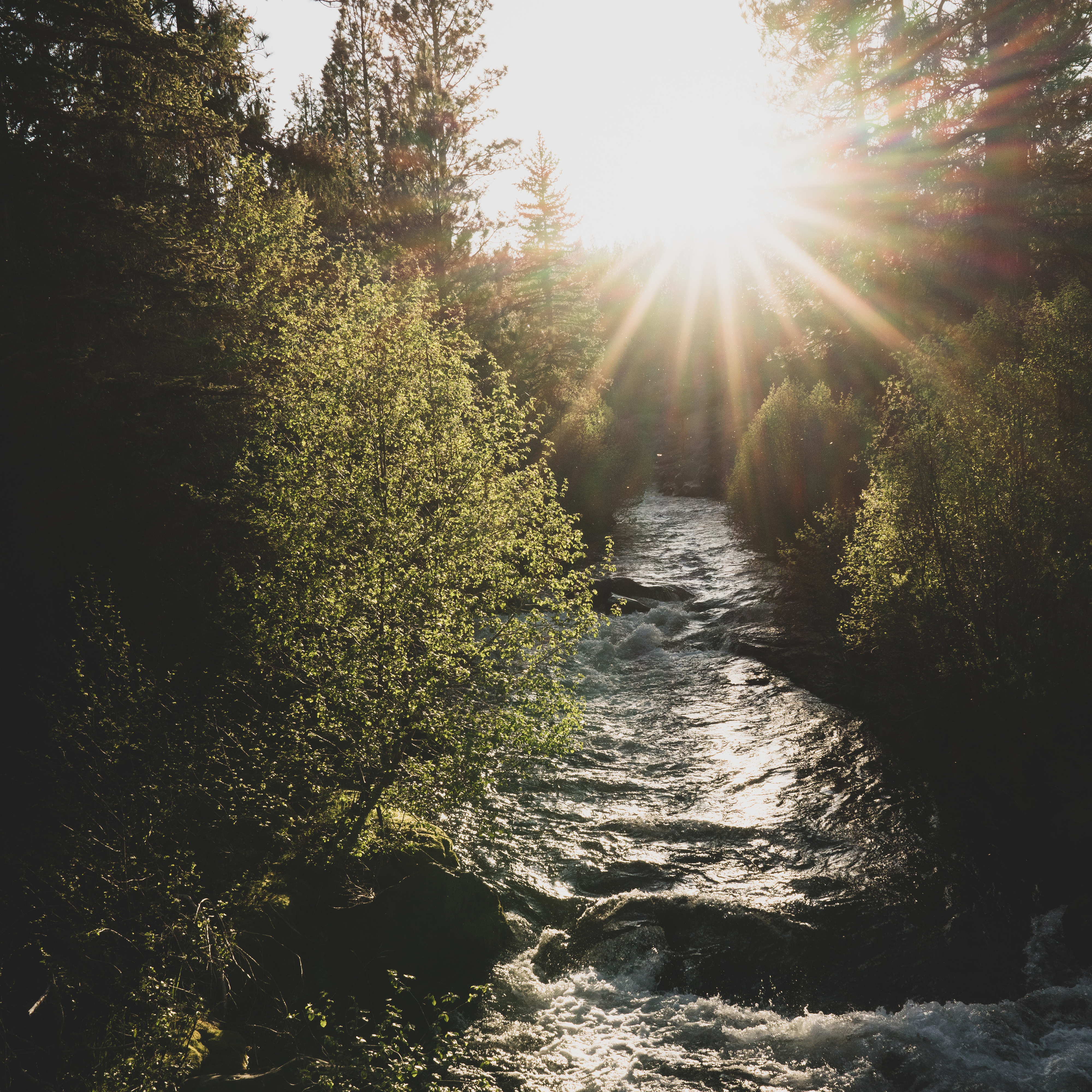 Michigan’s Outdoors: Where Every Trail Leads to a Story